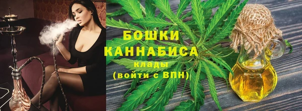 молекула духа Осинники