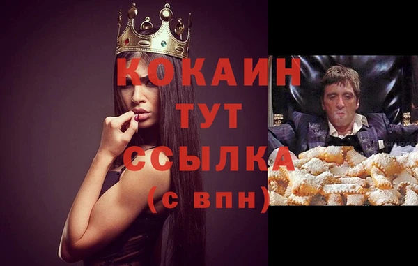молекула духа Осинники