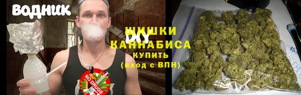 молекула духа Осинники