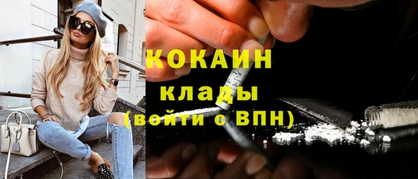 молекула духа Осинники