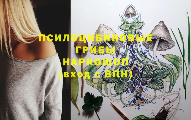 как найти закладки  Клин  Псилоцибиновые грибы MAGIC MUSHROOMS 