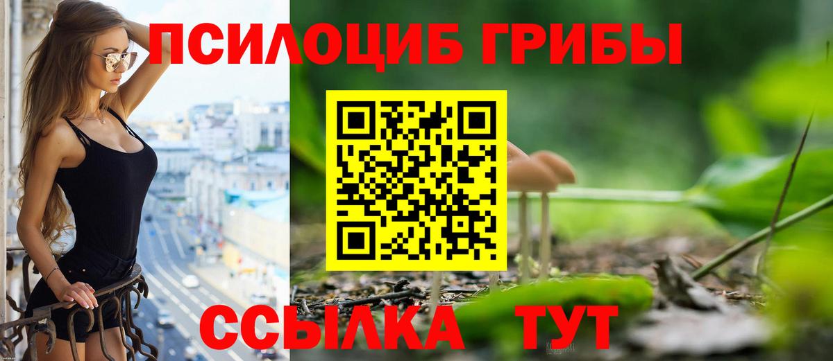 Галлюциногенные грибы Psilocybine cubensis Клин